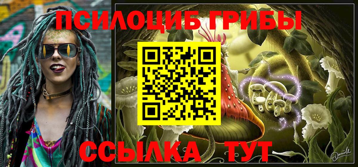Псилоцибиновые грибы MAGIC MUSHROOMS Шебекино