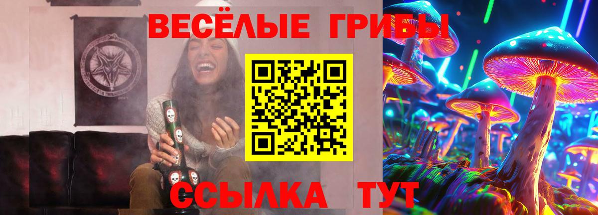 Псилоцибиновые грибы ЛСД  как найти закладки  Шебекино  Галлюциногенные грибы MAGIC MUSHROOMS  Вход с VPN 