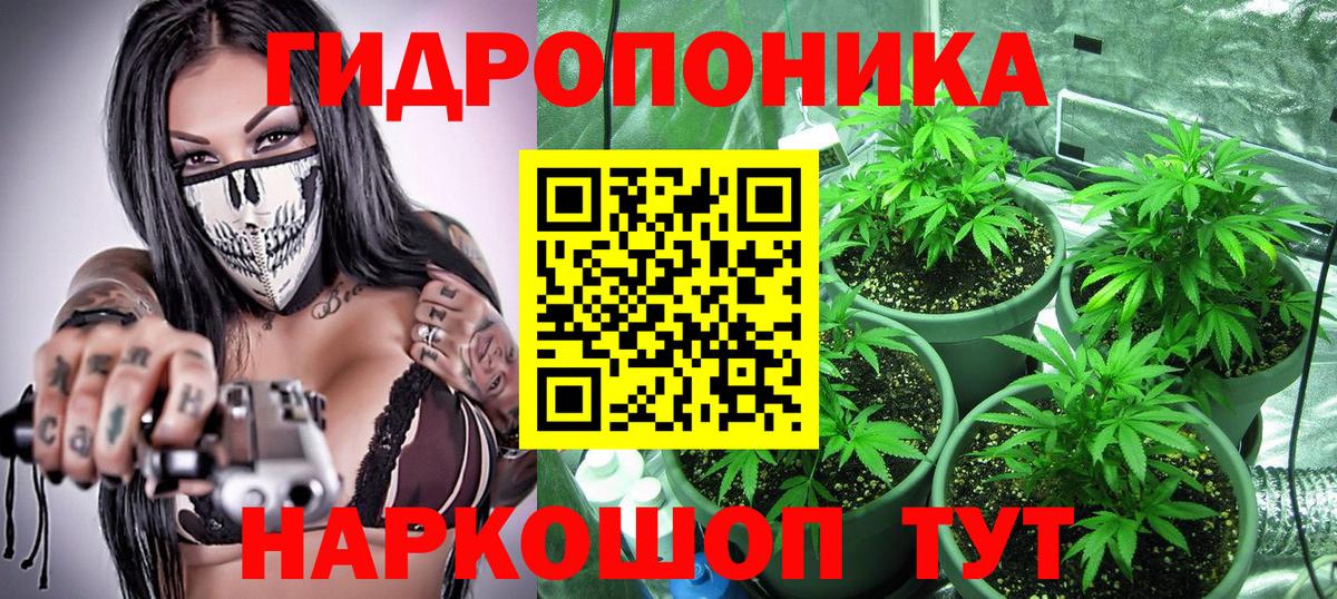 Шишки марихуана индика Шебекино